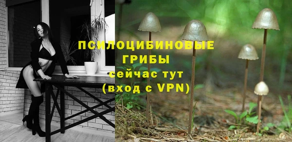 мдма Гусев
