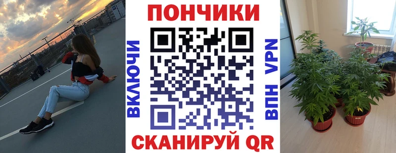 цены   Ельня  Бошки марихуана семена 